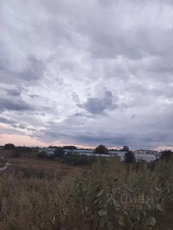 Участок в Саратовская область, Саратов пос. Мирный, ул. Депутатская ... - Фото 2