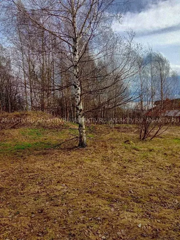 Участок в Ярославская область, Переславль-Залесский городской округ, ... - Фото 0