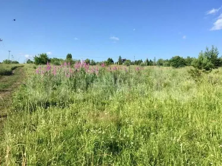 Купить Участок Земли В Кемерово