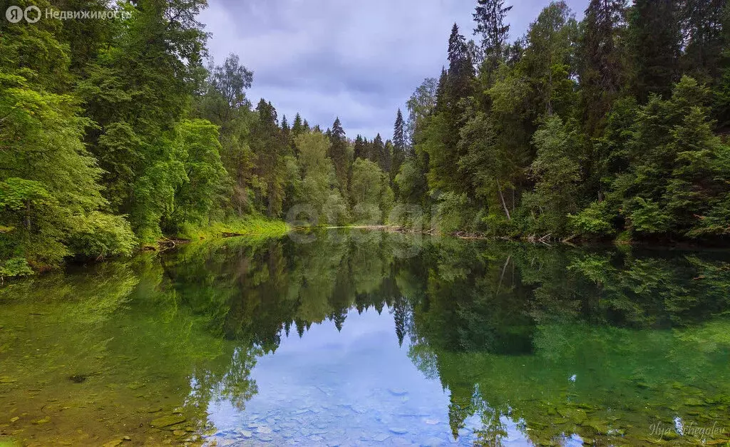 Участок в Лопухинское сельское поселение, ДНП Сказка (15 м) - Фото 0