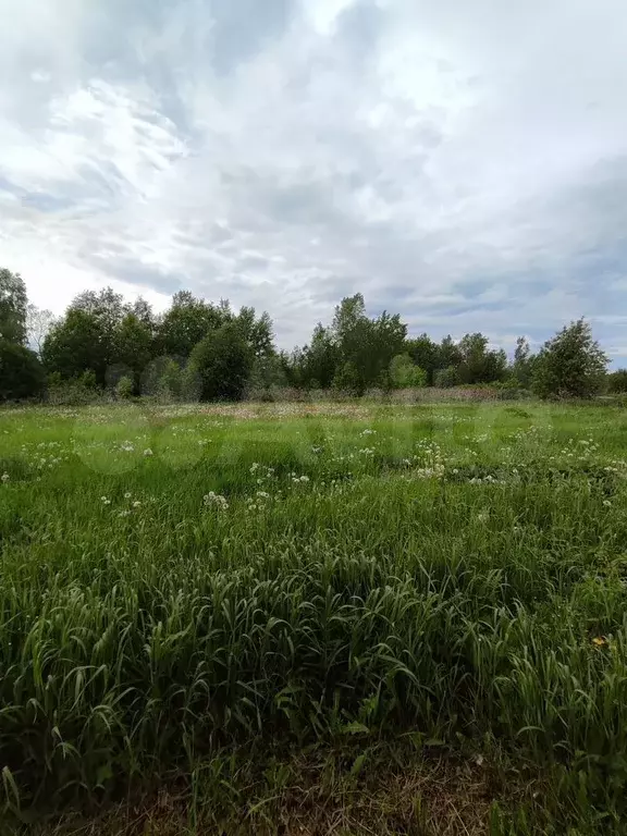 Дом 56 м на участке 40 сот. - Фото 1