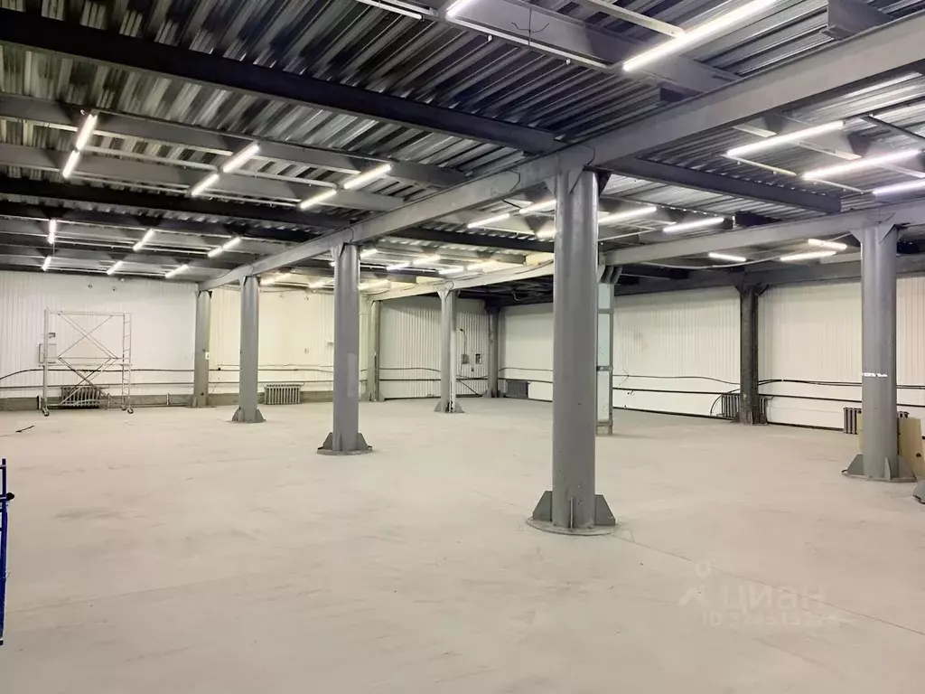 Склад в Алтайский край, Барнаул ул. Попова, 179Б (1207 м) - Фото 1