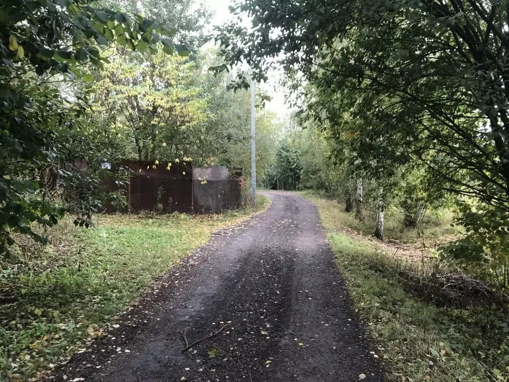 Участок в Московская область, Одинцовский городской округ, д. Грязь  ... - Фото 1