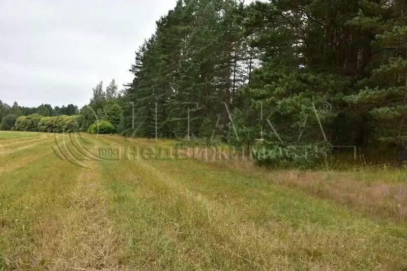 Участок в Ленинградская область, Выборгский район, Красносельское ... - Фото 2