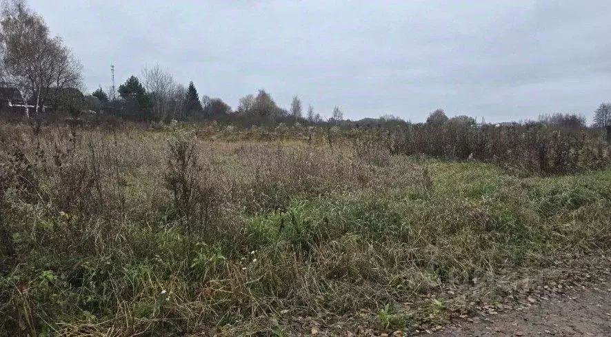 Участок в Московская область, Ступино городской округ, с. Васильевское ... - Фото 1