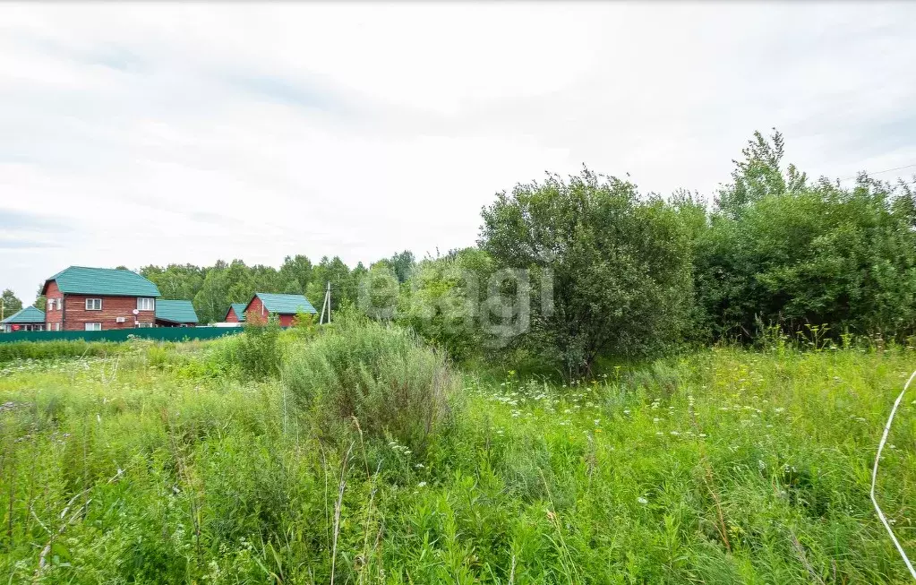 Участок в Новосибирская область, Новосибирский район, Барышевский ... - Фото 1