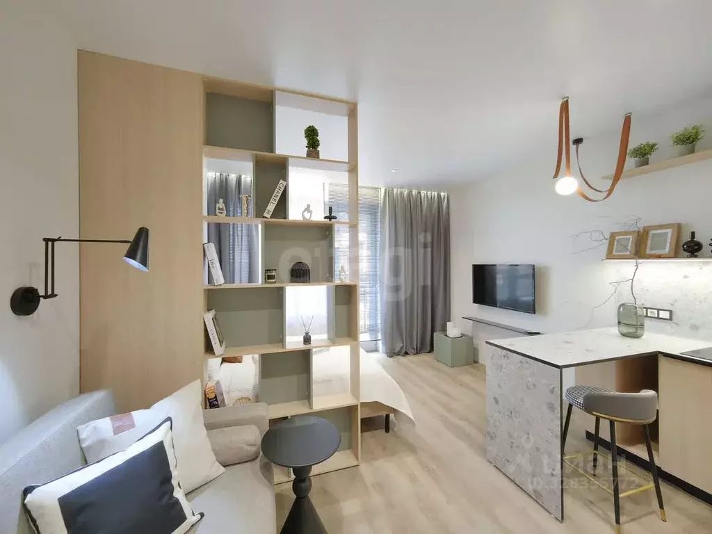 Студия Новосибирская область, Новосибирск ул. Никитина, 67 (27.6 м) - Фото 2