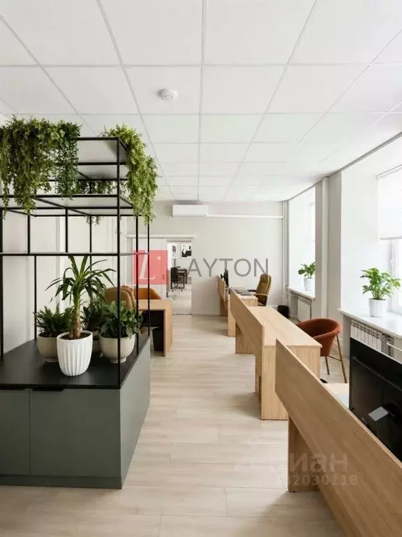 Офис в Московская область, Пушкино Лесная ул., 43 (120 м) - Фото 2
