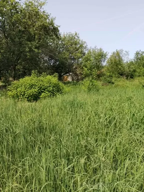 Участок в Нижегородская область, Балахнинский муниципальный округ, ... - Фото 0
