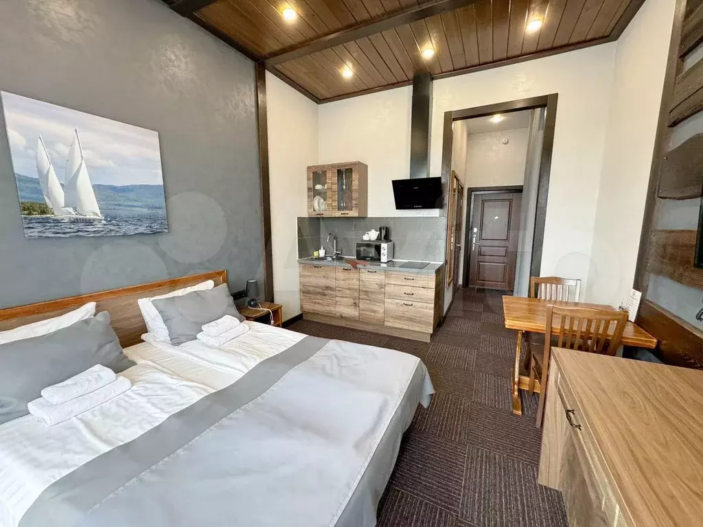 Апартаменты-студия, 24 м, 9/10 эт. - Фото 1