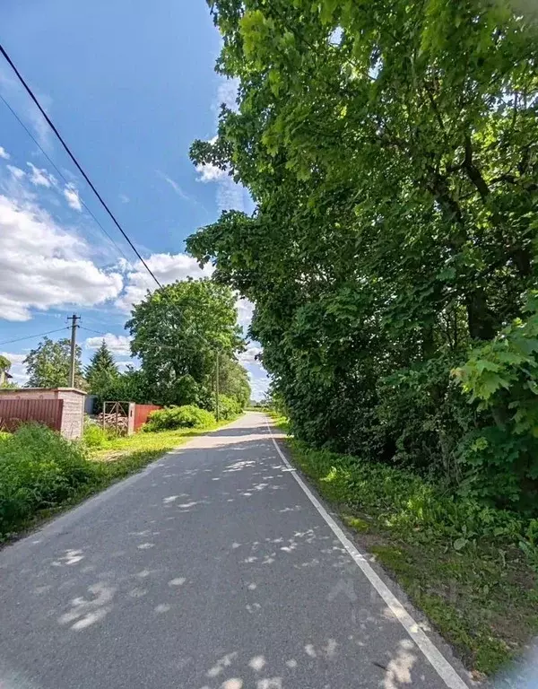 Участок в Ленинградская область, Гатчинский муниципальный округ, д. ... - Фото 2