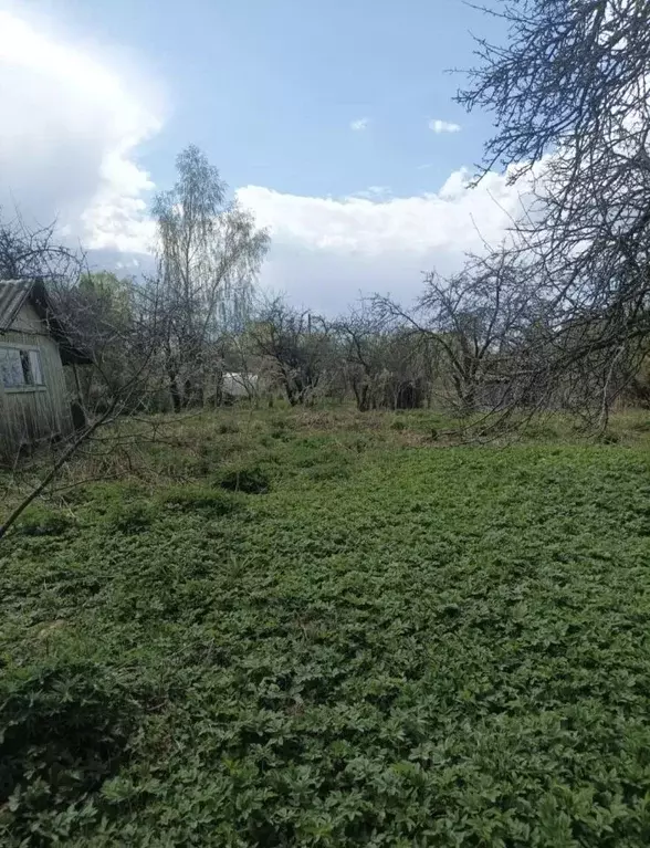 Участок в Смоленская область, Смоленск Мечта СТ,  (7.3 сот.) - Фото 2