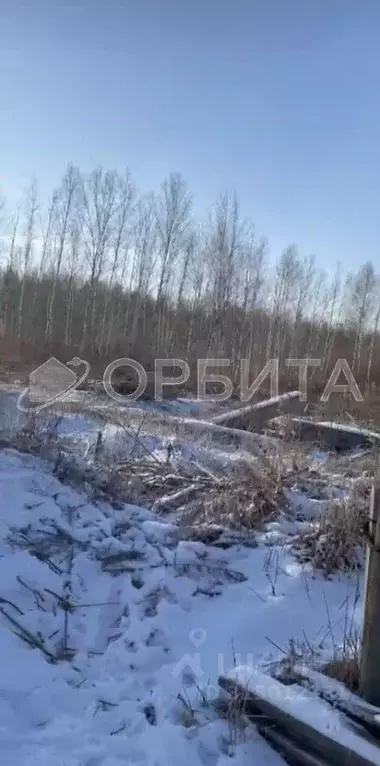 Участок в Тюменская область, Нижнетавдинский район, Сочинские СНТ 7-я ... - Фото 0