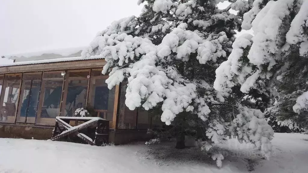 Дом в Псковская область, Печорский муниципальный округ, д. Малая ... - Фото 2