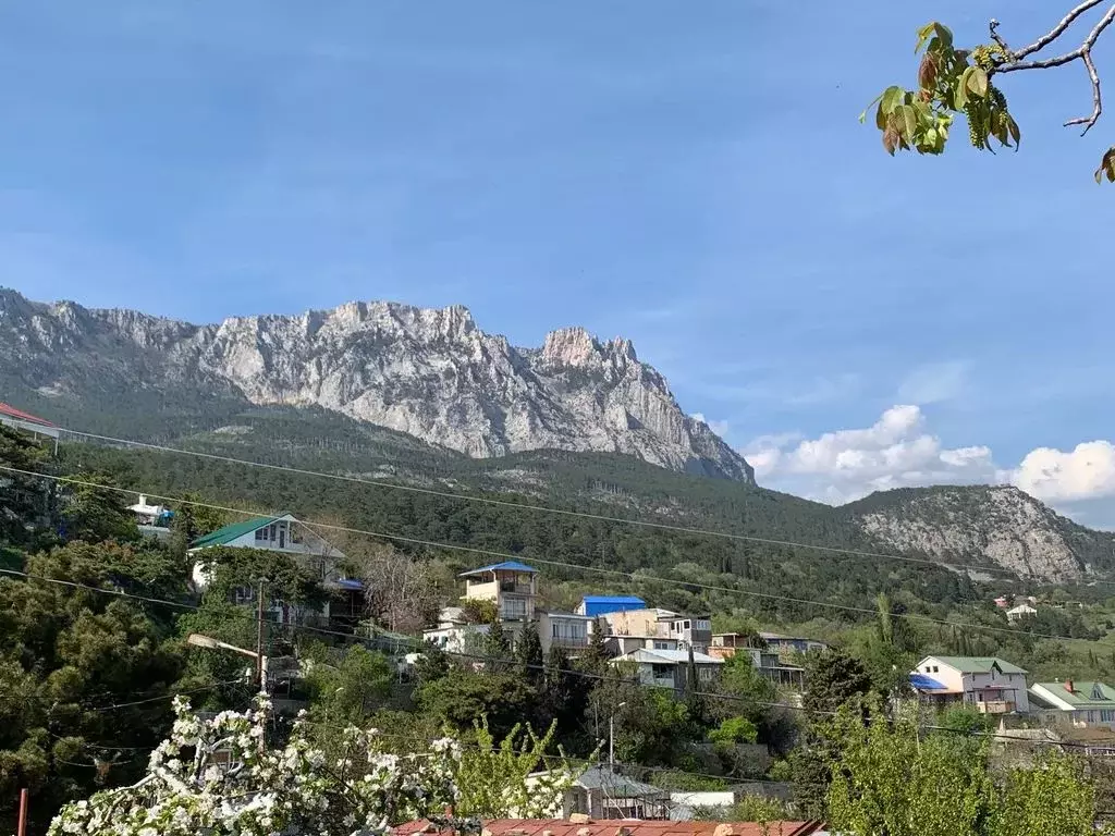 Дом в Крым, Алупка Ялта городской округ, ш. Севастопольское, 69 (15 м) - Фото 1