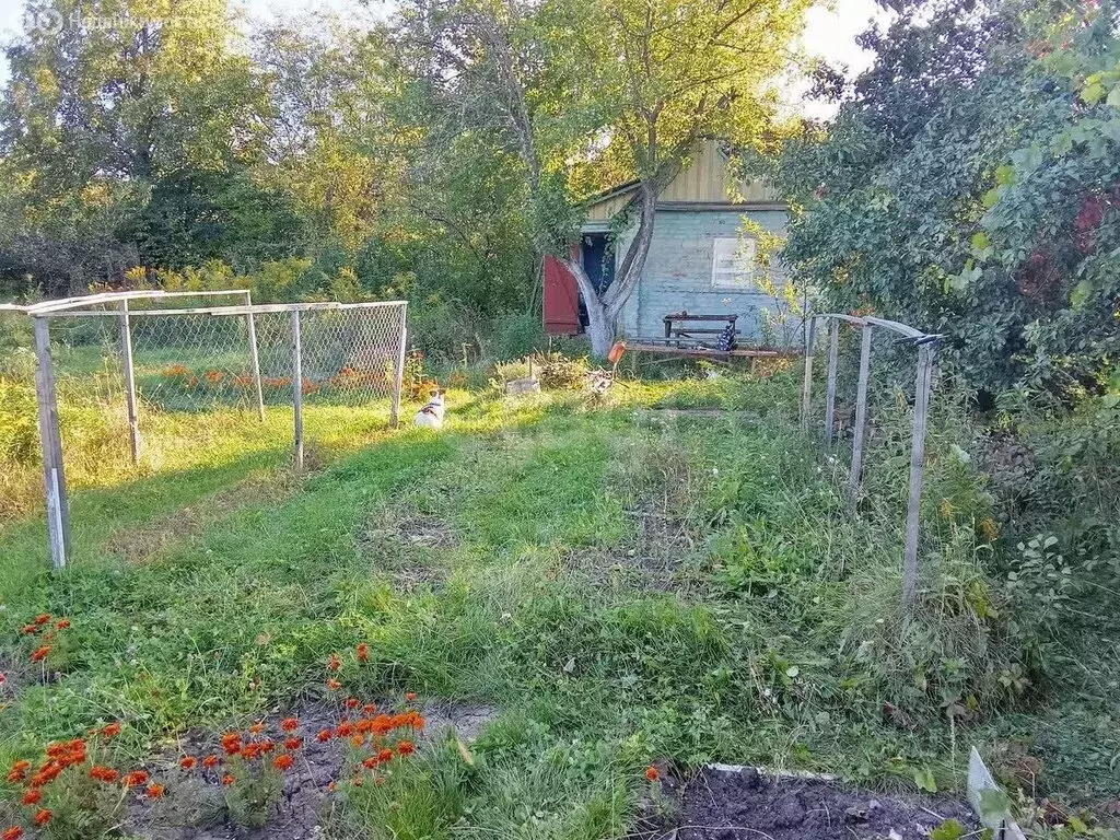 Дом в Щёкинский район, сельское поселение Огарёвское, деревня Большие ... - Фото 2