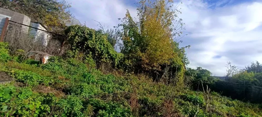 Участок в Ставропольский край, Кисловодск Юбилейное СТ, 46 (3.9 сот.) - Фото 2