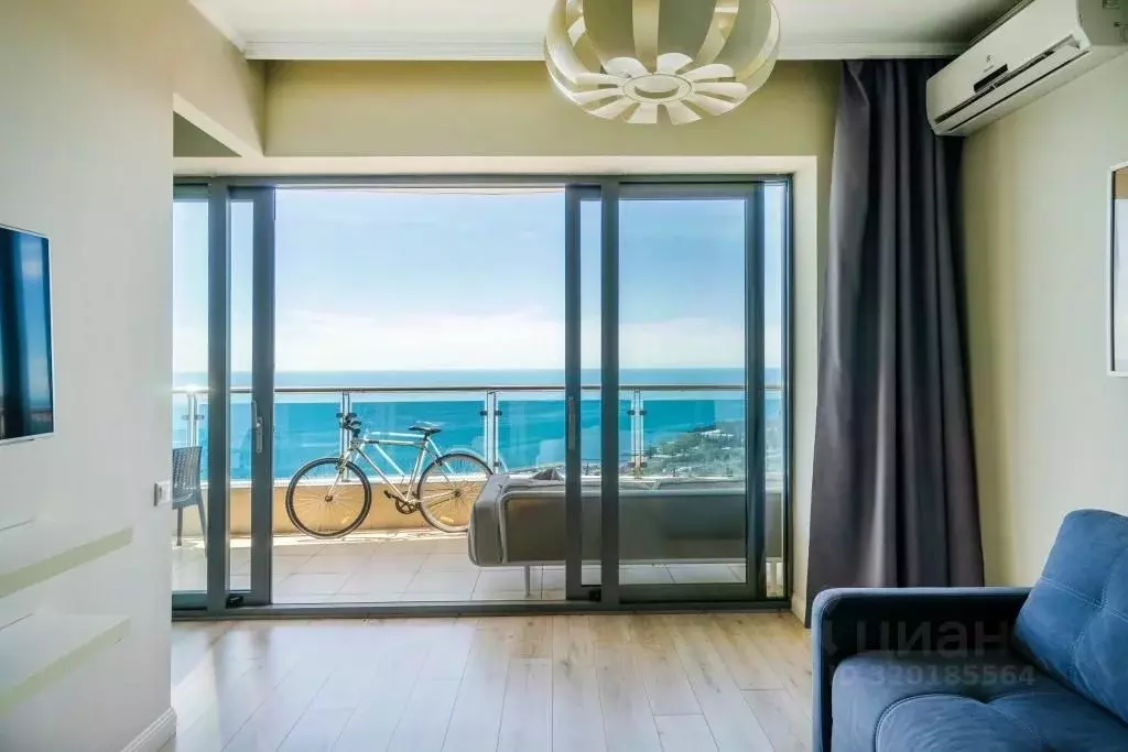 1-к кв. Краснодарский край, Сочи Курортный просп., 92/5 (95.0 м) - Фото 2