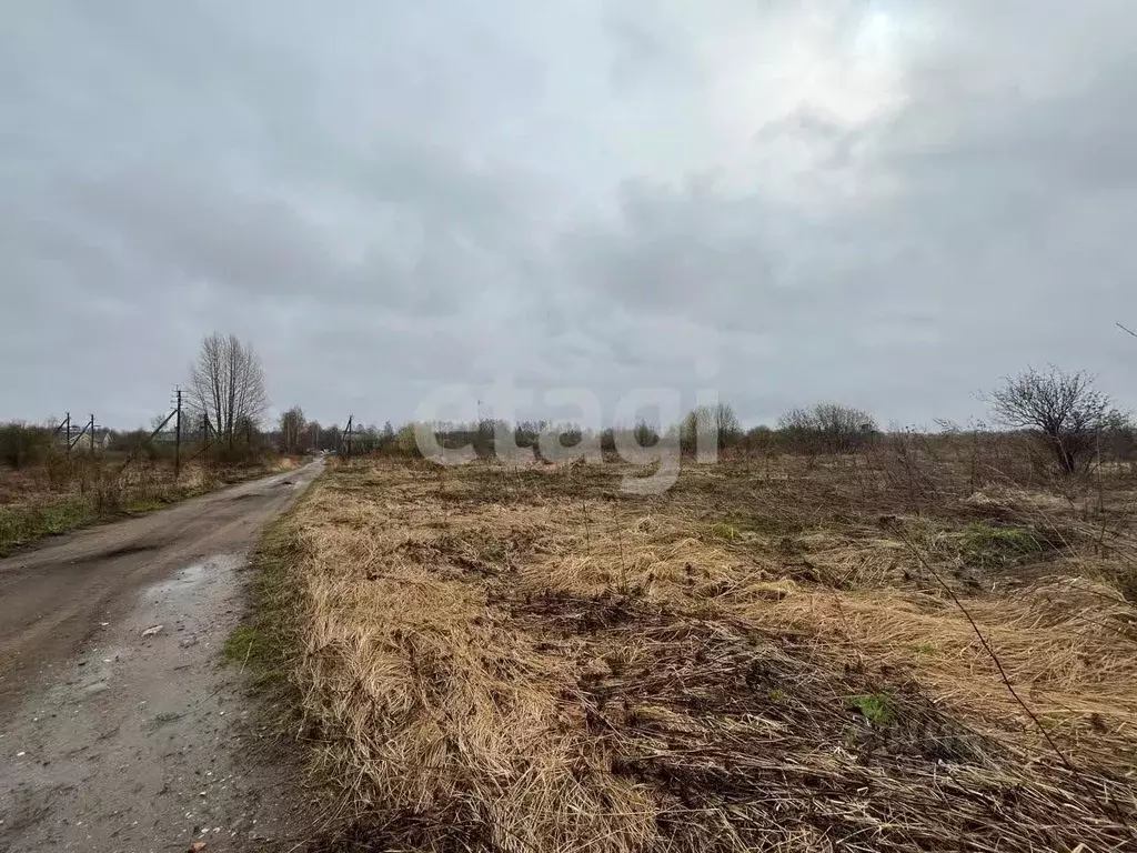 Участок в Костромская область, Красное-на-Волге городское поселение, ... - Фото 0