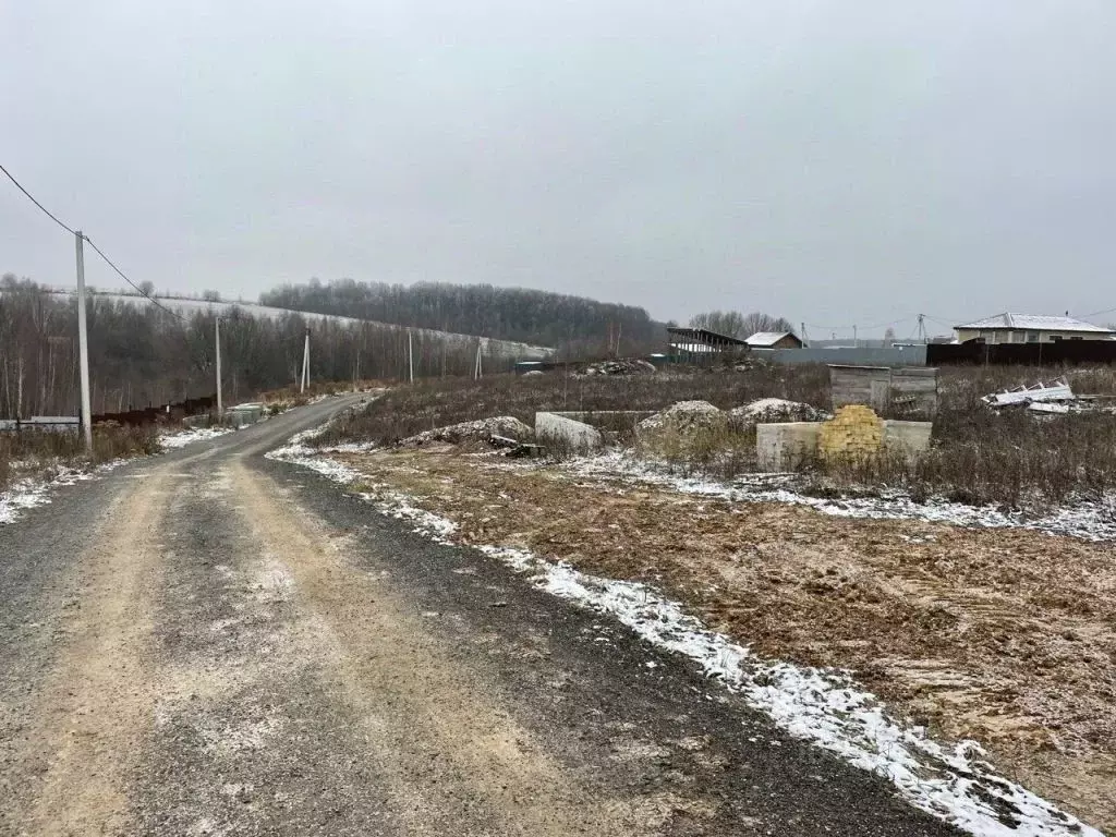 Участок в Нижегородская область, Богородский муниципальный округ, д. ... - Фото 1