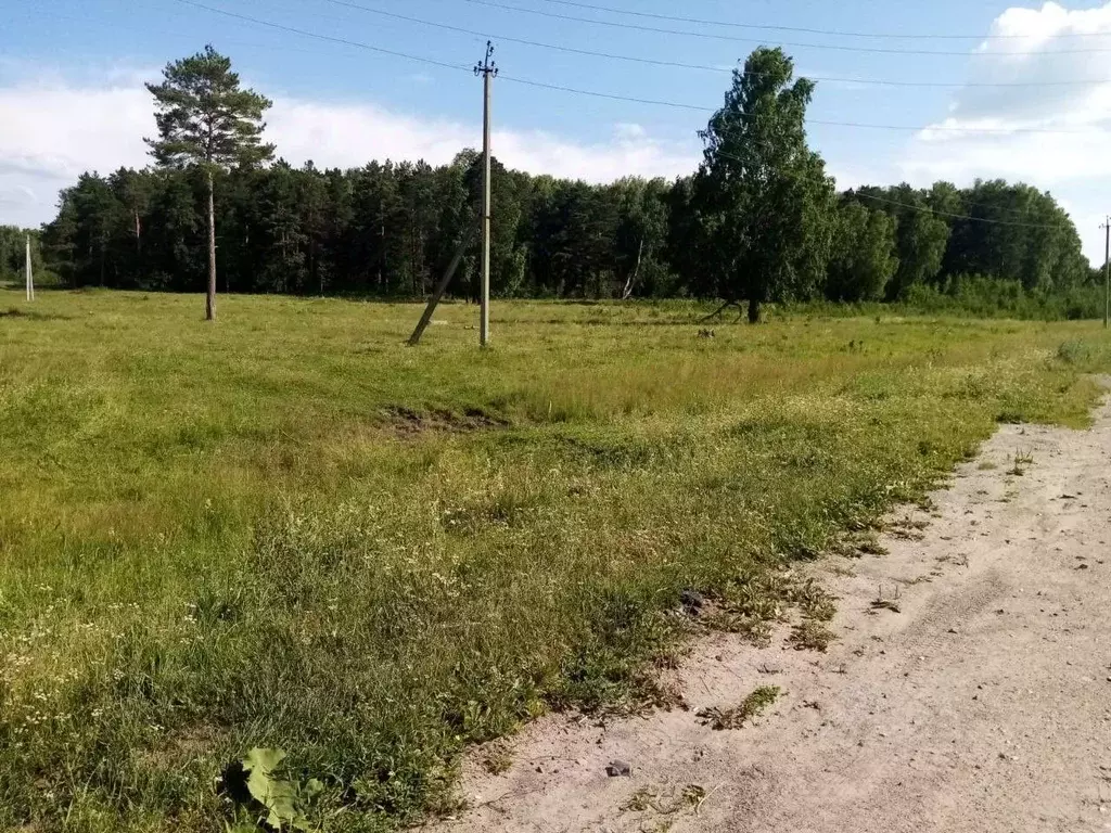 Участок в Новосибирская область, Мошковский район, с. Белоярка  (11.0 ... - Фото 0
