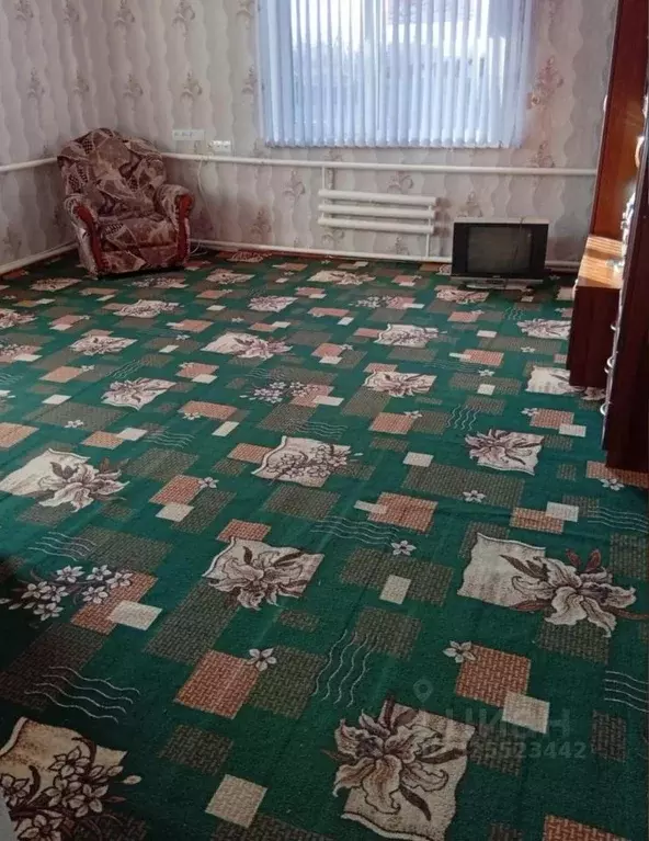 Дом в Омская область, Любинский район, д. Авлы Центральная ул. (75 м) - Фото 2