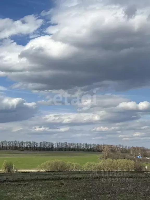 Участок в Тульская область, Тула муниципальное образование, д. ... - Фото 1