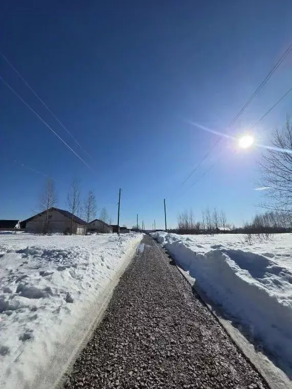 Участок в Пермский край, Березники Ольховская ул. (10.0 сот.) - Фото 2