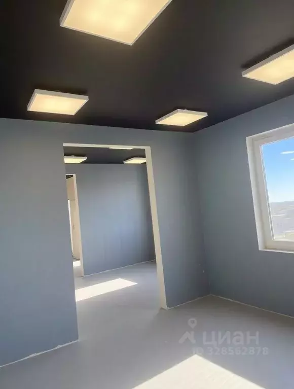 Помещение свободного назначения в Санкт-Петербург, Санкт-Петербург, ... - Фото 1