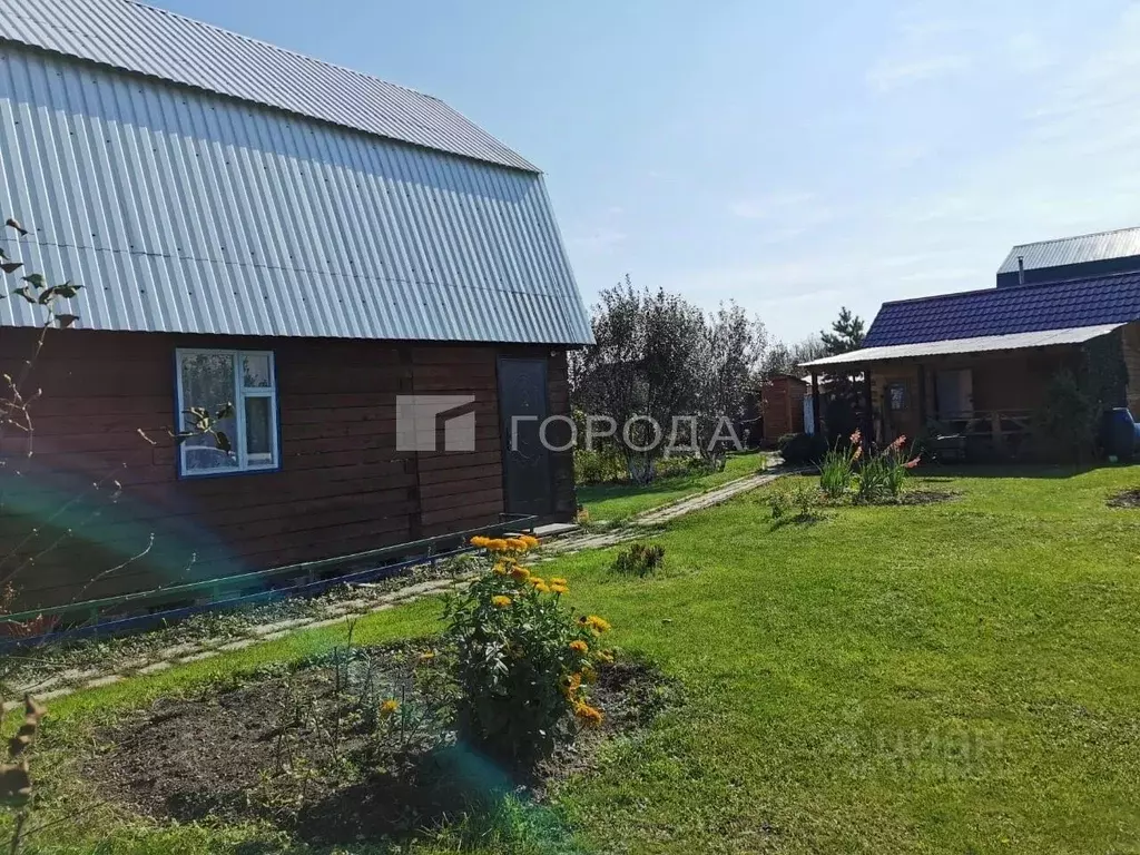 Дом в Новосибирская область, Колыванский район, Кедр СНТ ул. Зеленая, ... - Фото 1