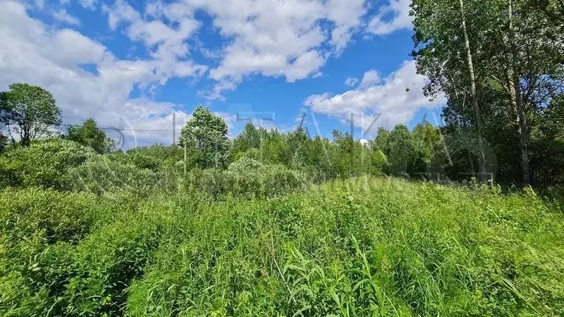 Участок 10,4 сот. (ИЖС) - Фото 1