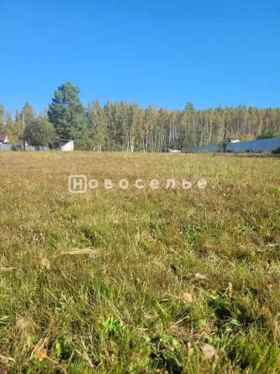 Участок в Рязанская область, Спасский муниципальный округ, пос. ... - Фото 2