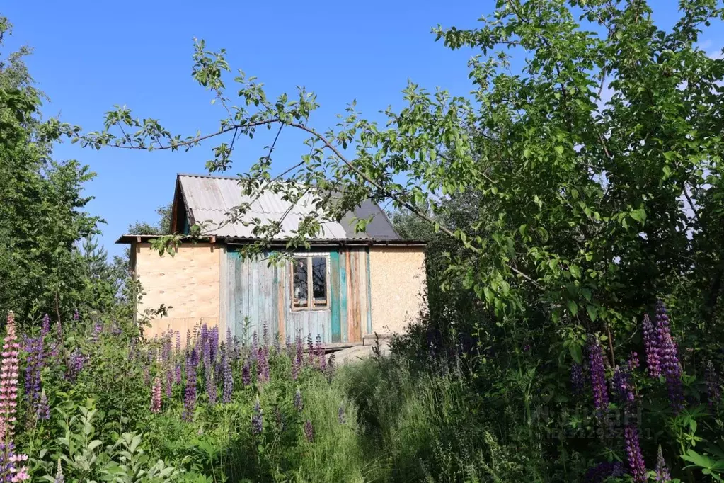 Участок в Башкортостан, Иглинский район, Акбердинский сельсовет, Нур ... - Фото 0