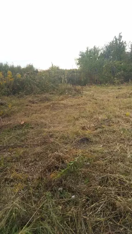 Участок в Саранск, СНТ Охотник (9 м) - Фото 1