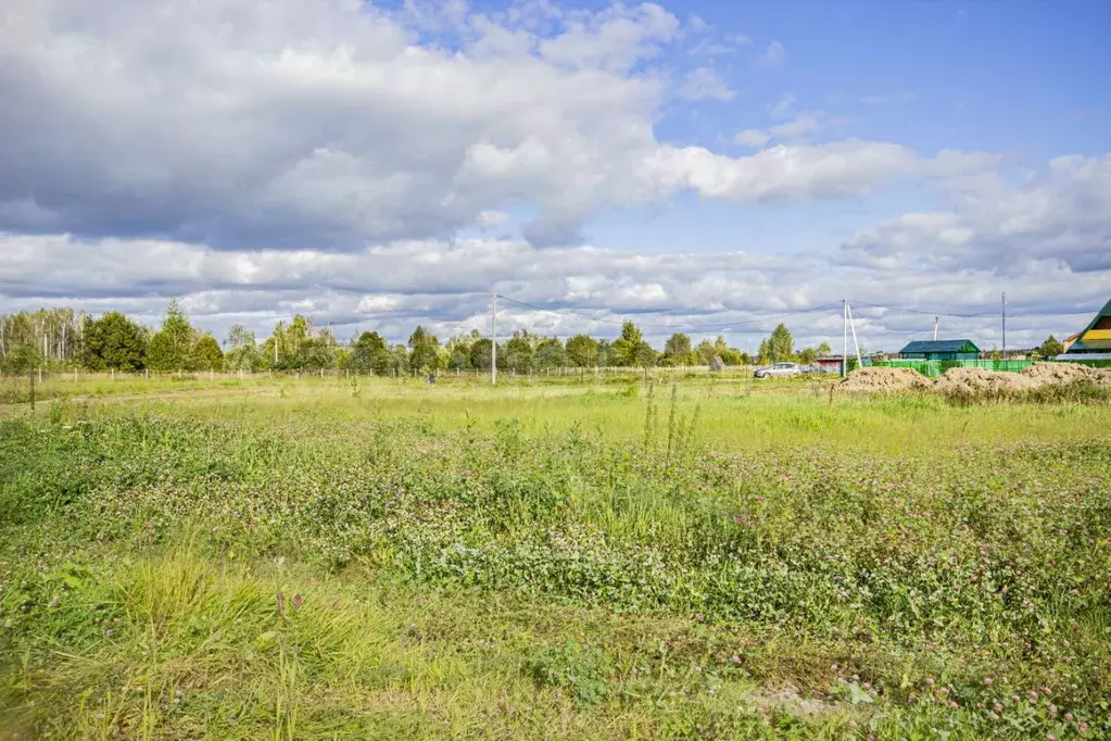 Участок в Калужская область, Боровский муниципальный округ, Совьяки ... - Фото 2