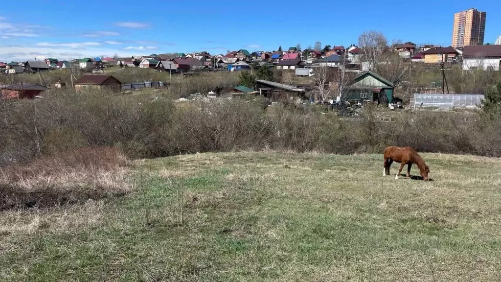 Участок в Иркутская область, Иркутск ул. 3-я Огородная (10.0 сот.) - Фото 1