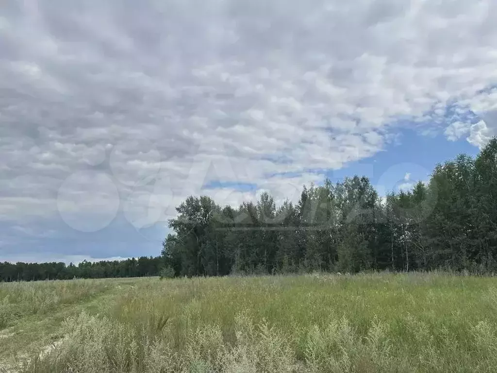 Участок 55 сот. (СНТ, ДНП) - Фото 1