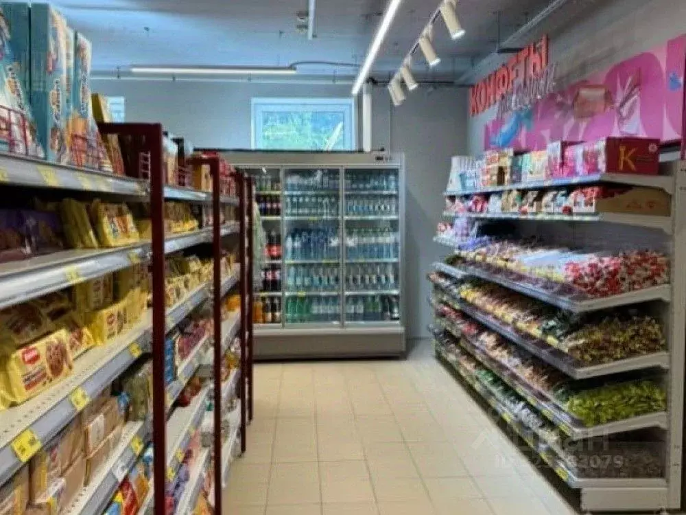 Торговая площадь в Московская область, Звенигород Одинцовский ... - Фото 1