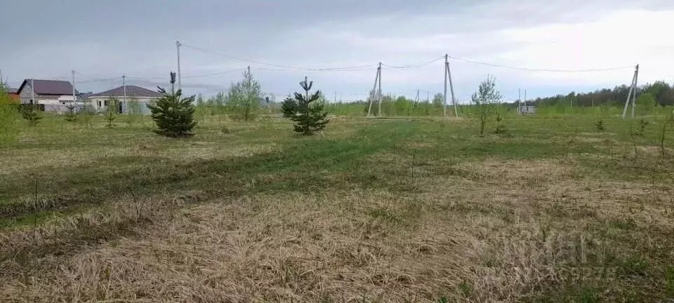 Участок в Московская область, Дмитровский муниципальный округ, ... - Фото 1