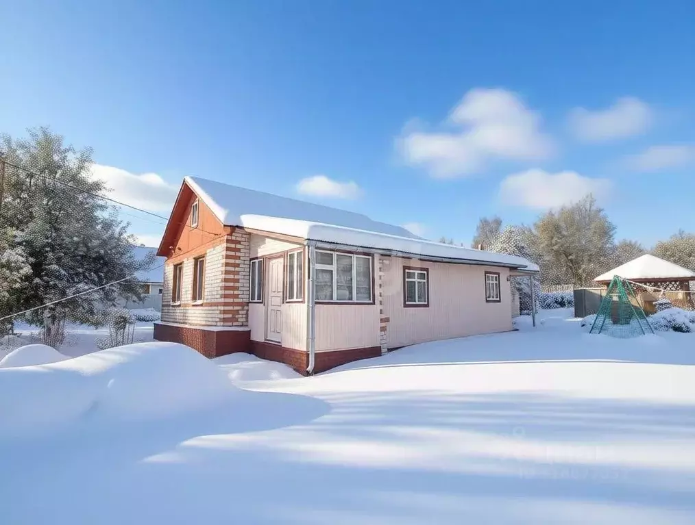 Дом в Владимирская область, Петушки ул. Кирова, 22 (60 м) - Фото 1