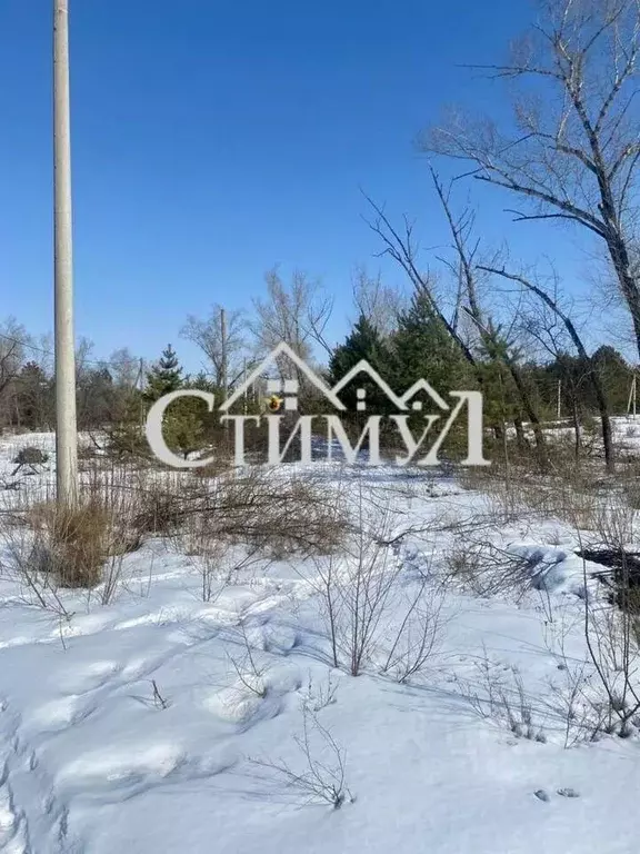 Участок в Хакасия, Бейский район, д. Малый Монок Таежная ул. (9.0 ... - Фото 1