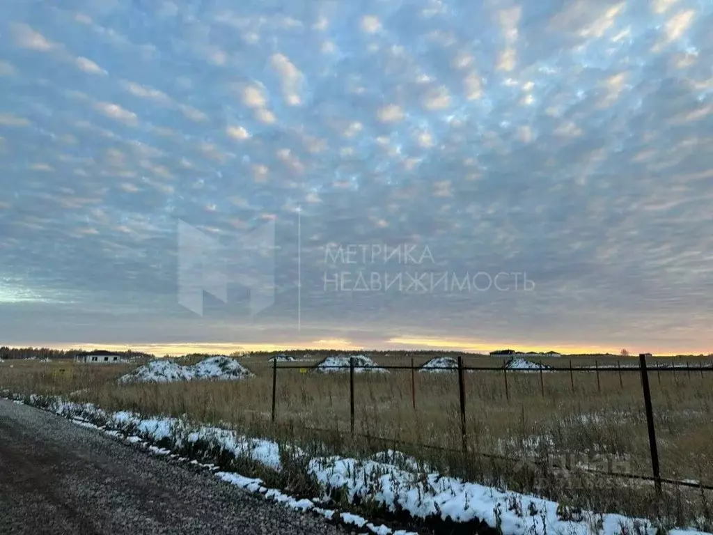 Участок в Тюменская область, Тюменский район, Новокаменский кп ул. ... - Фото 1