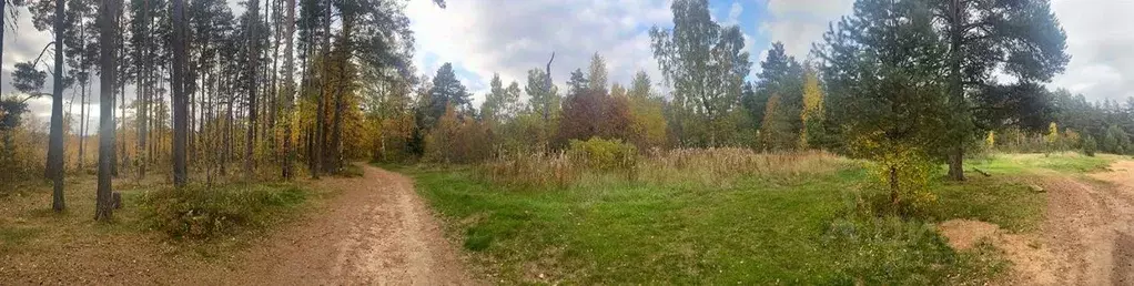 Участок в Ленинградская область, Приозерский район, Сосновское с/пос, ... - Фото 1