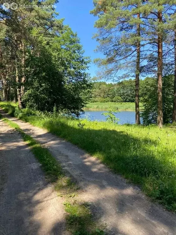 Участок в Брянский район, Новодарковичское сельское поселение, посёлок ... - Фото 1