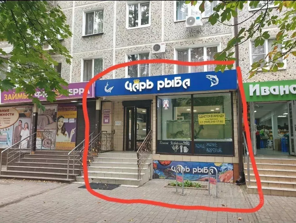 Торговая площадь в Краснодарский край, Краснодар Фестивальный мкр, ул. ... - Фото 2