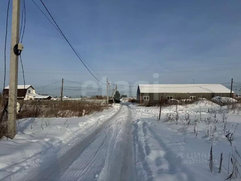 Участок в Тюменская область, Тюмень Рябинка-2 СНТ,  (8.0 сот.) - Фото 1