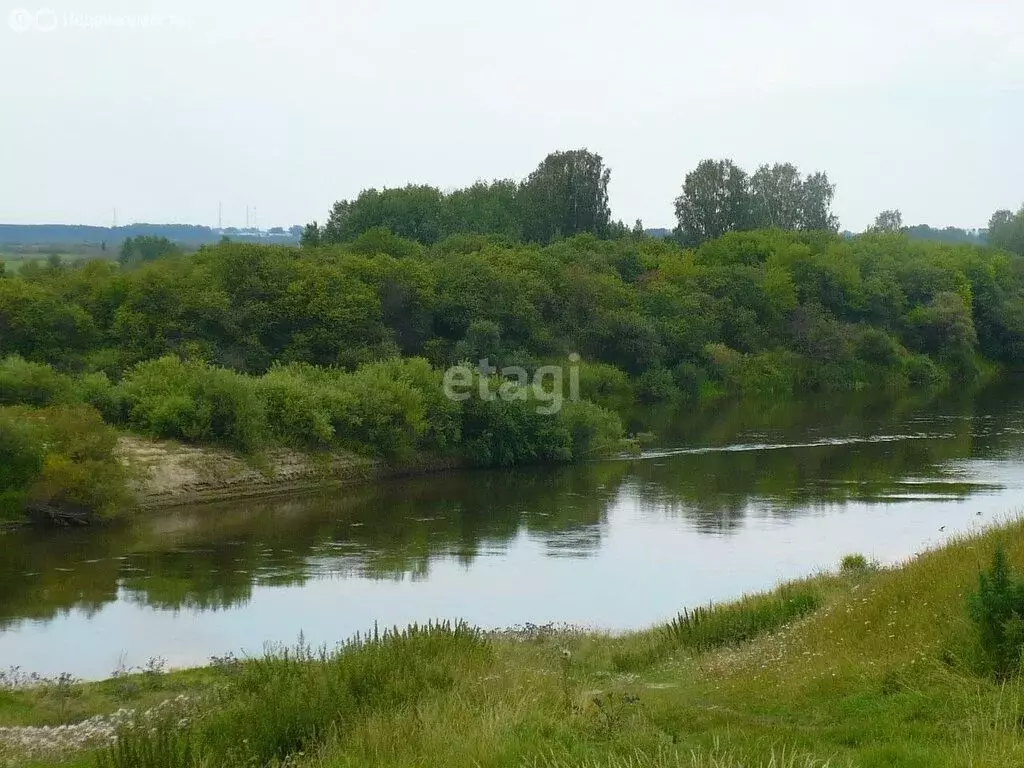 Участок в Рафайлово, Береговая улица (34 м) - Фото 1