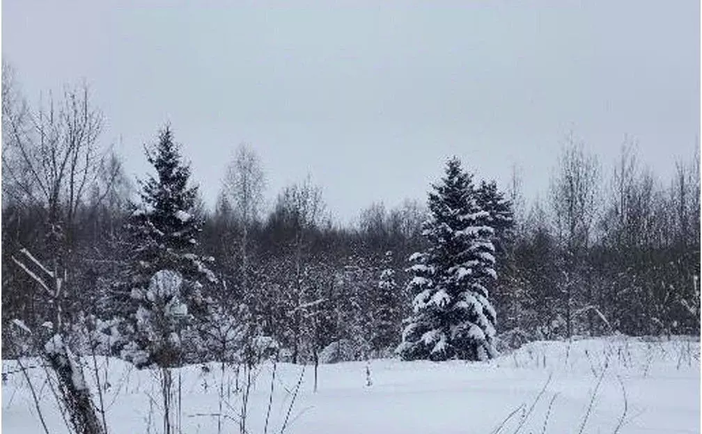 Участок в Московская область, Дмитровский муниципальный округ, д. ... - Фото 1