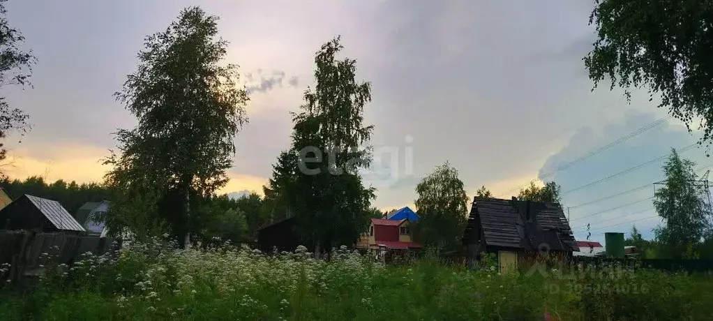 участок в ханты-мансийский ао, сургут хвойный садовое товарищество, . - Фото 1