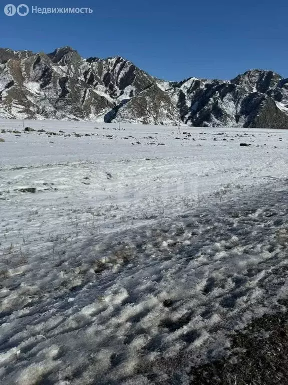 Участок в Онгудайский район, село Иня (318.6 м) - Фото 1